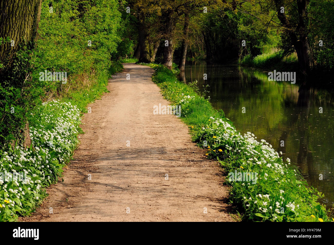 Towpath Towpath beside a restored canal in springtime Stock Photo - Alamy