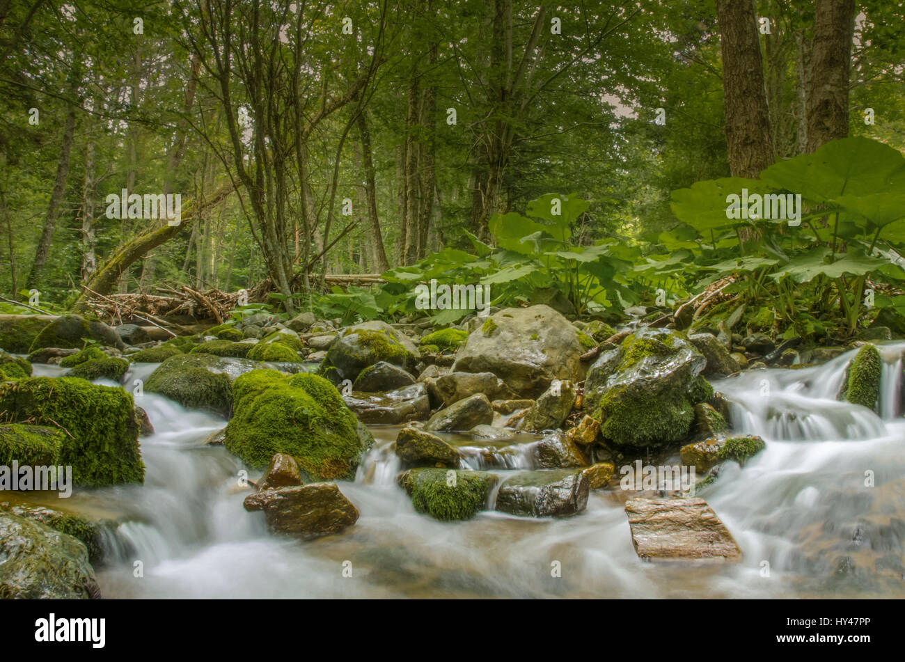 Wild River Nature – Relaxing Background Stock Photo - Alamy