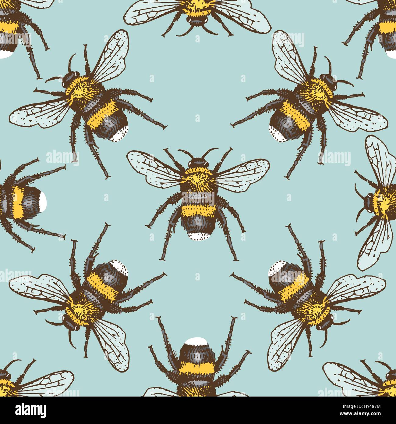 insect beetle seamless pattern, background with engraved animal hand ...