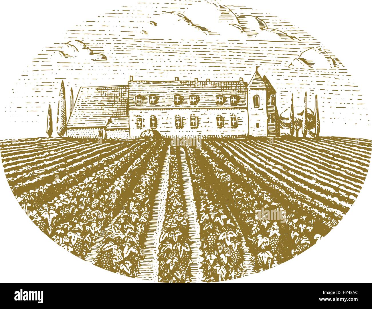 Vintage engraved, hand drawn vineyards landscape, tuskany fields, old looking scratchboard or tatooo style wine company bottle design Stock Vector