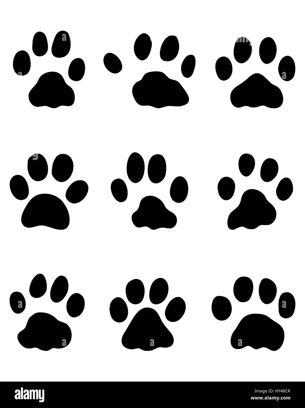 Rabbit paw print hi-res stock photography and images - Alamy
