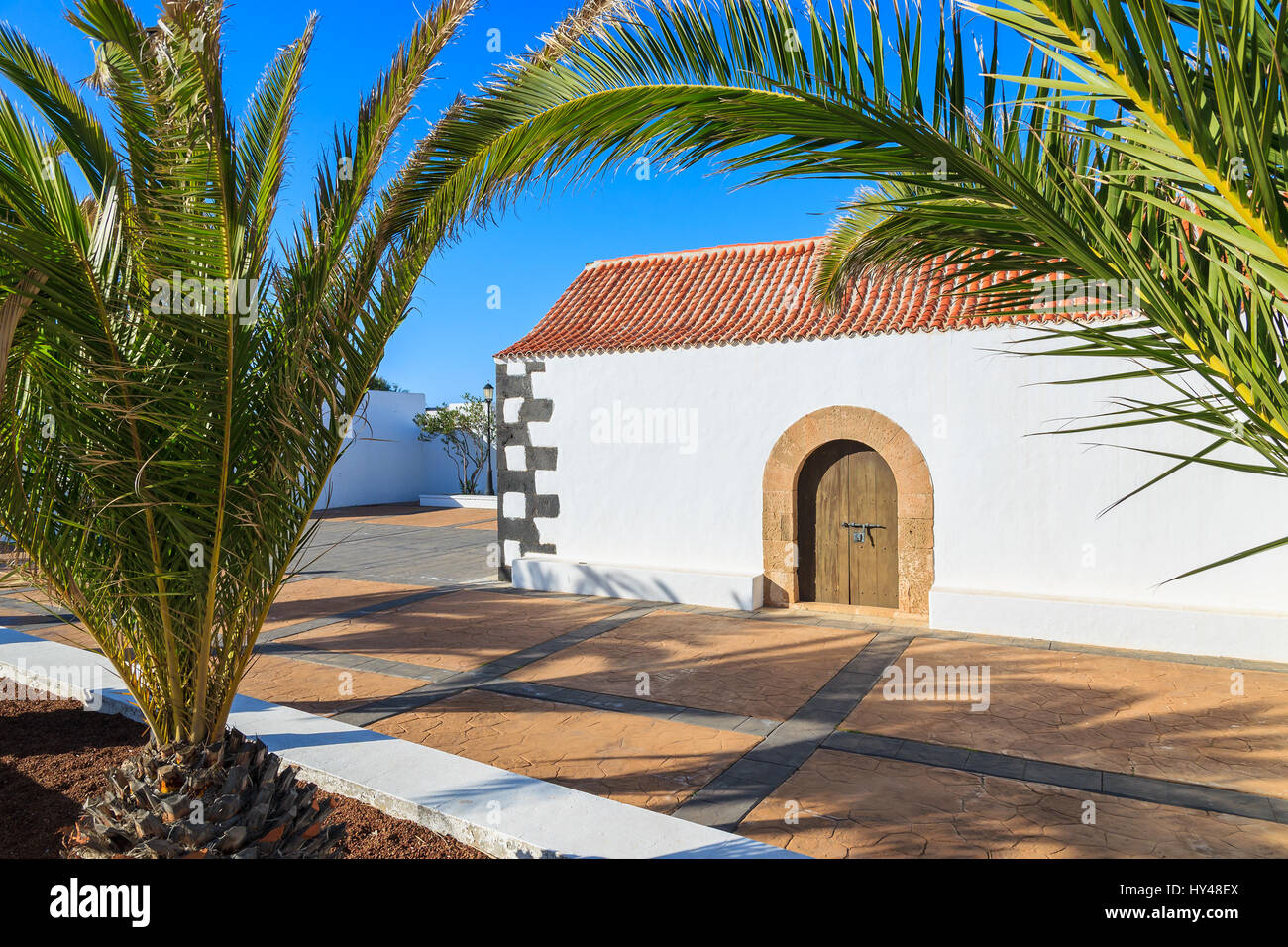 Palm trees and typical Canary style white church building in Tindaya village, Fuerteventura, Canary Islands, Spain Stock Photo