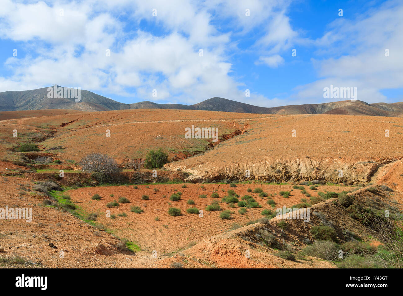 Mountain landscape with volcanoes on Fuerteventura island, Spain Stock Photo