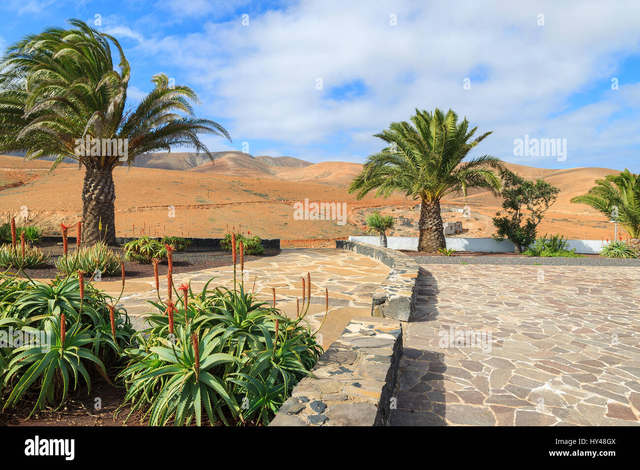 Palm trees on village square in volcanic mountain landscape of Fuerteventura island, Spain Stock Photo