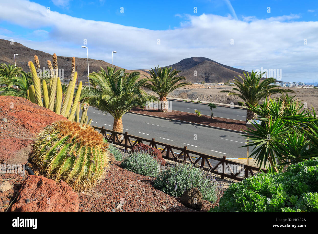 Tropical plants in garden with view road and volcano mountain in Morro Jable town, Fuerteventura, Canary Islands, Spain Stock Photo