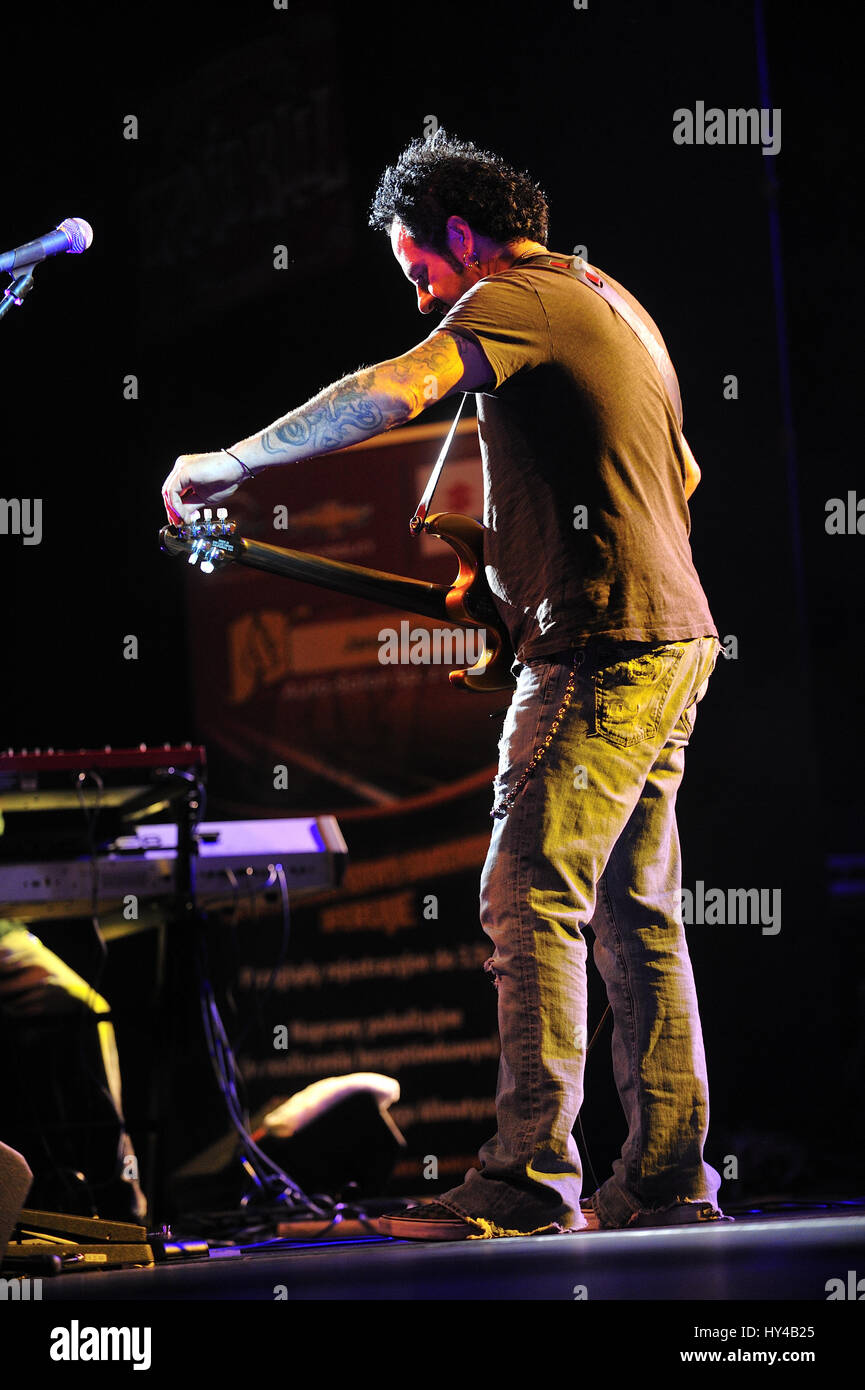 arranger, artist, celebrity, composer, concert, guitar player