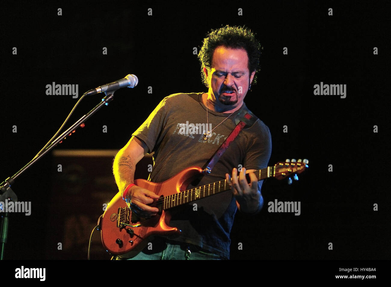 arranger, artist, celebrity, composer, concert, guitar player