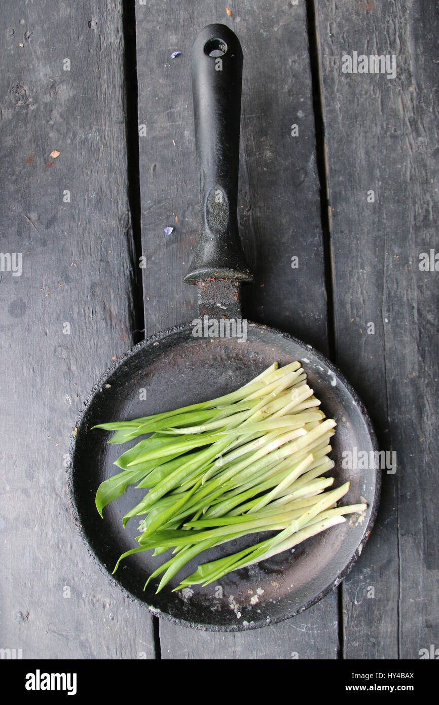healthy eating, dieting, vegetarian kitchen and cooking vintage concept. Ramson or wild garlic. Stock Photo
