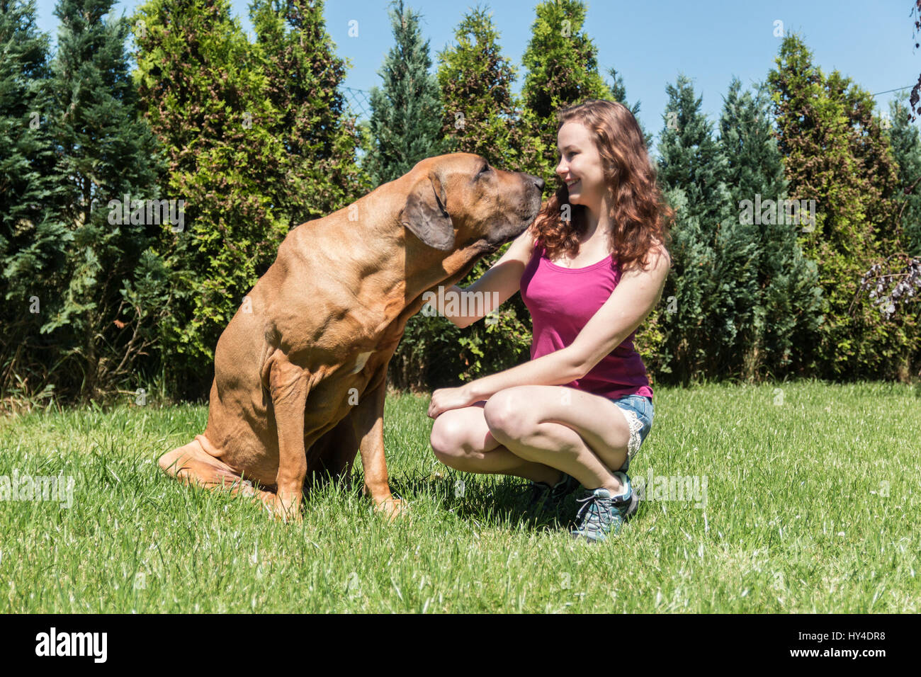 girl sitting with a dog in backyard in the summer day Stock Photo - Alamy