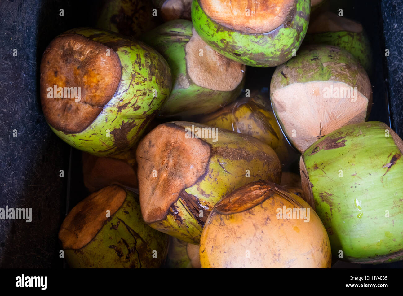 Farmer's market on the North Shore of Oahu Hawaii with ice cold