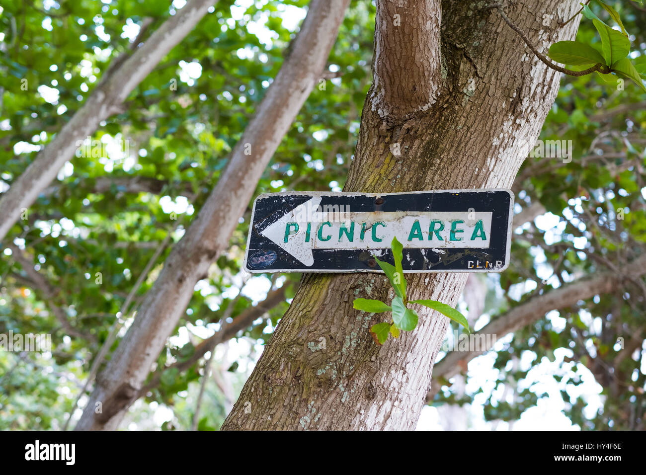 White and green picnic area sign made from a black one way sign and hung on a tree in Oahu Hawaii. Stock Photo