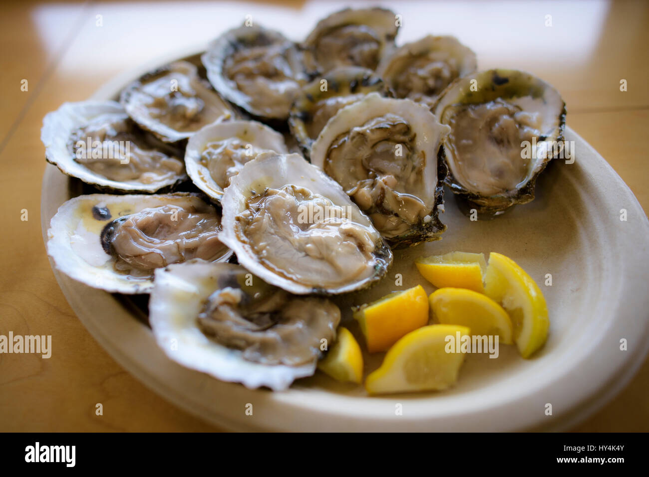 Oysters on the half shell hires stock photography and images Alamy
