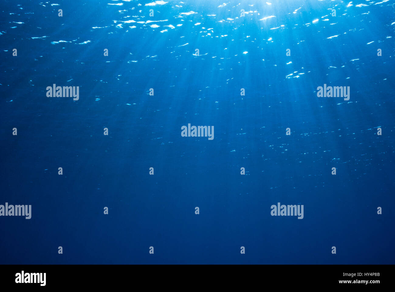 Underwater Blue Seascape Sun Beams Stock Photo Alamy