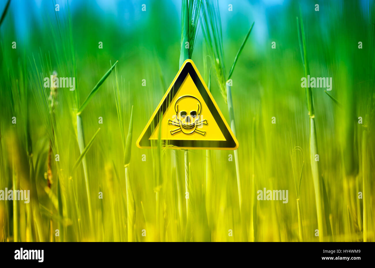 Danger signs in the grain field, application of poison materials in the agriculture, Gefaehrdungszeichen im Kornfeld, Einsatz von Giftstoffen in der L Stock Photo