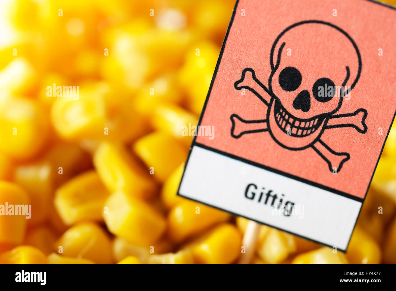 Maize with poison sign, feed scandal, Mais mit Gift-Zeichen, Futtermittelskandal Stock Photo