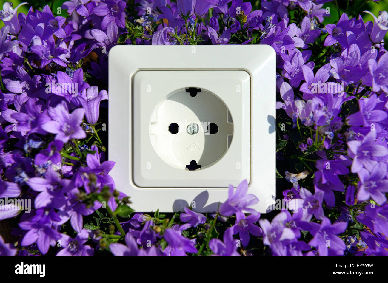 Outlet on flowers, ecological stream, Steckdose auf Blumen, oekostrom