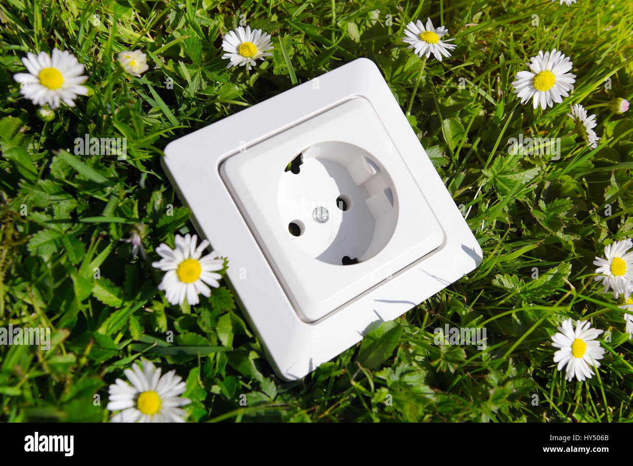 Outlet with daisy on lawn, ecological stream, Steckdose mit Gaensebluemchen auf Rasen, oekostrom Stock Photo