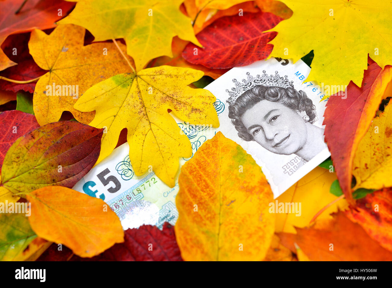 British pound mark under autumn foliage, course decay of the pound, Britische Pfundnote unter Herbstlaub, Kursverfall vom Pfund Stock Photo
