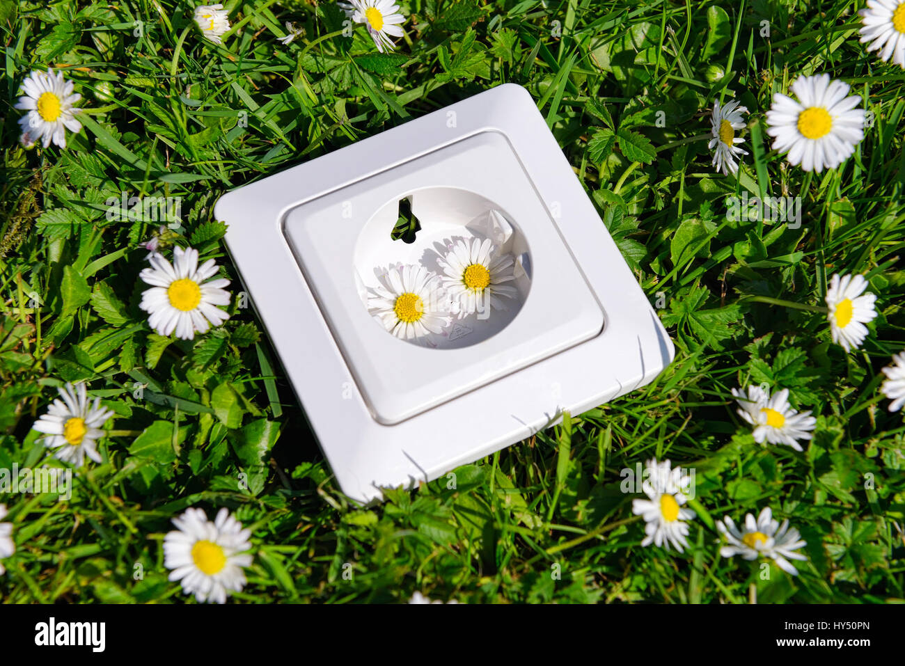 Outlet on lawn, ecological stream, Steckdose auf Rasen, oekostrom Stock Photo
