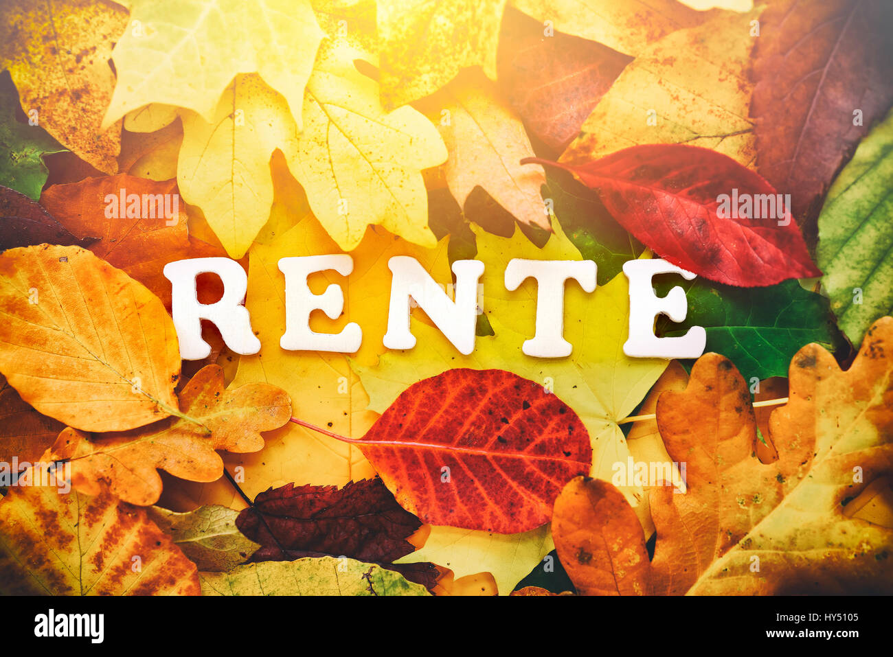 Stroke pension on autumn sheets, Schriftzug Rente auf Herbstblaettern Stock Photo