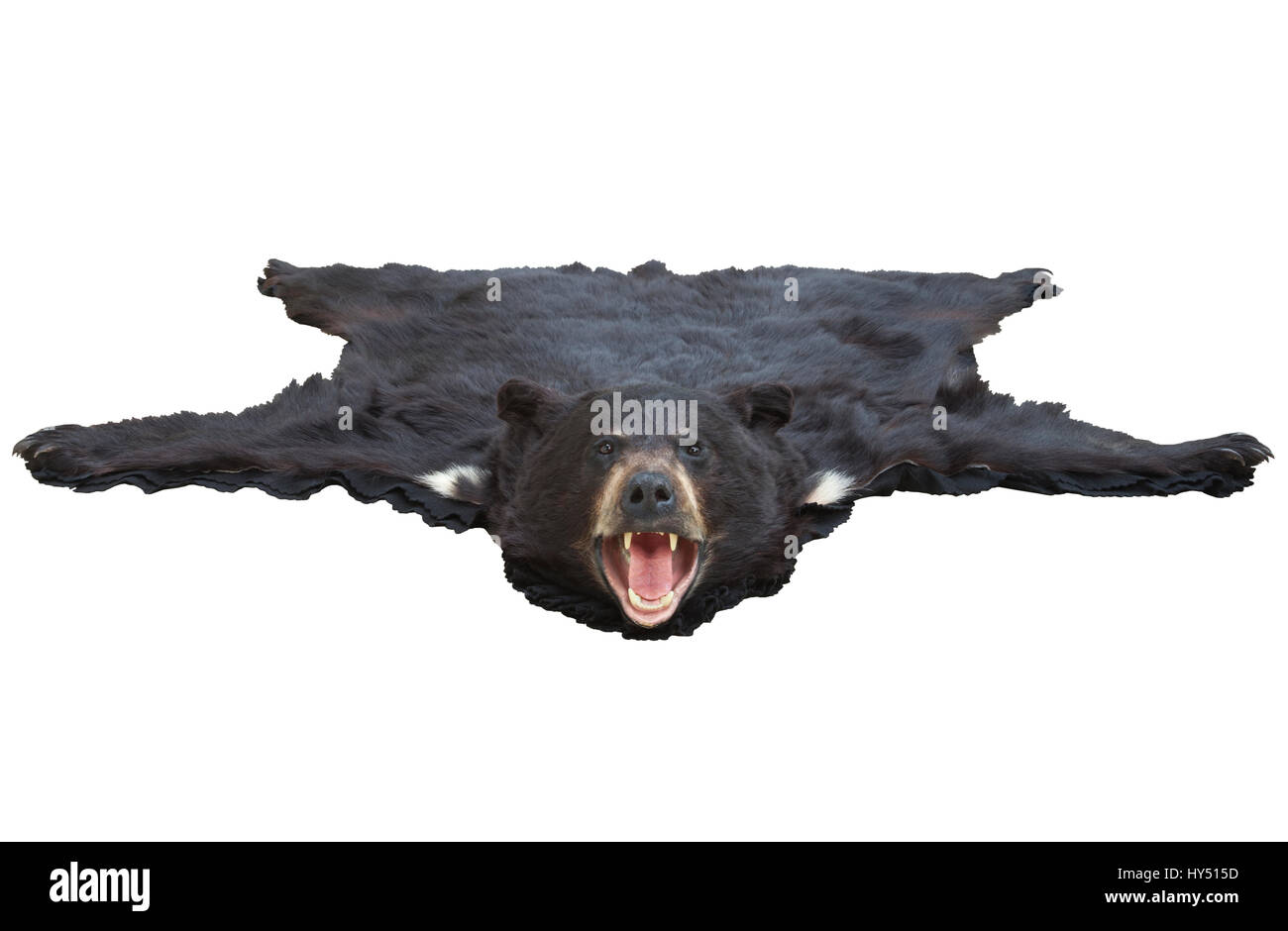 Romantic Fireplace Bearskin Rug By