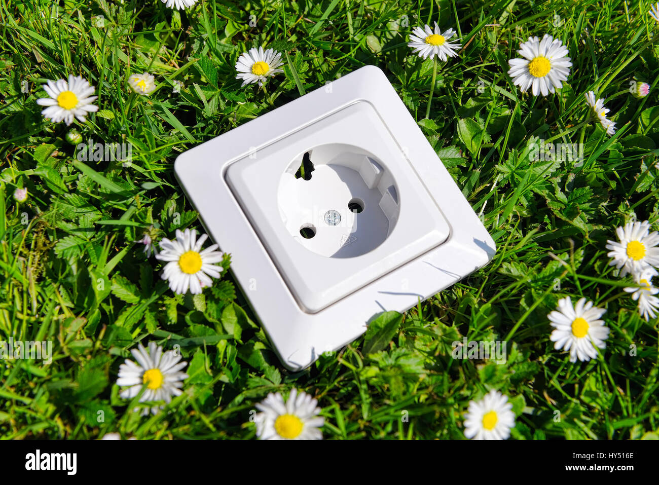 Outlet on lawn, ecological stream, Steckdose auf Rasen, oekostrom Stock Photo