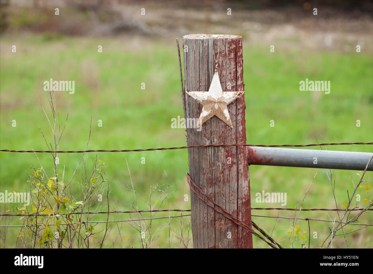 A selective focus view of a grungy white star on a wooden fence post in Texas Stock Photo