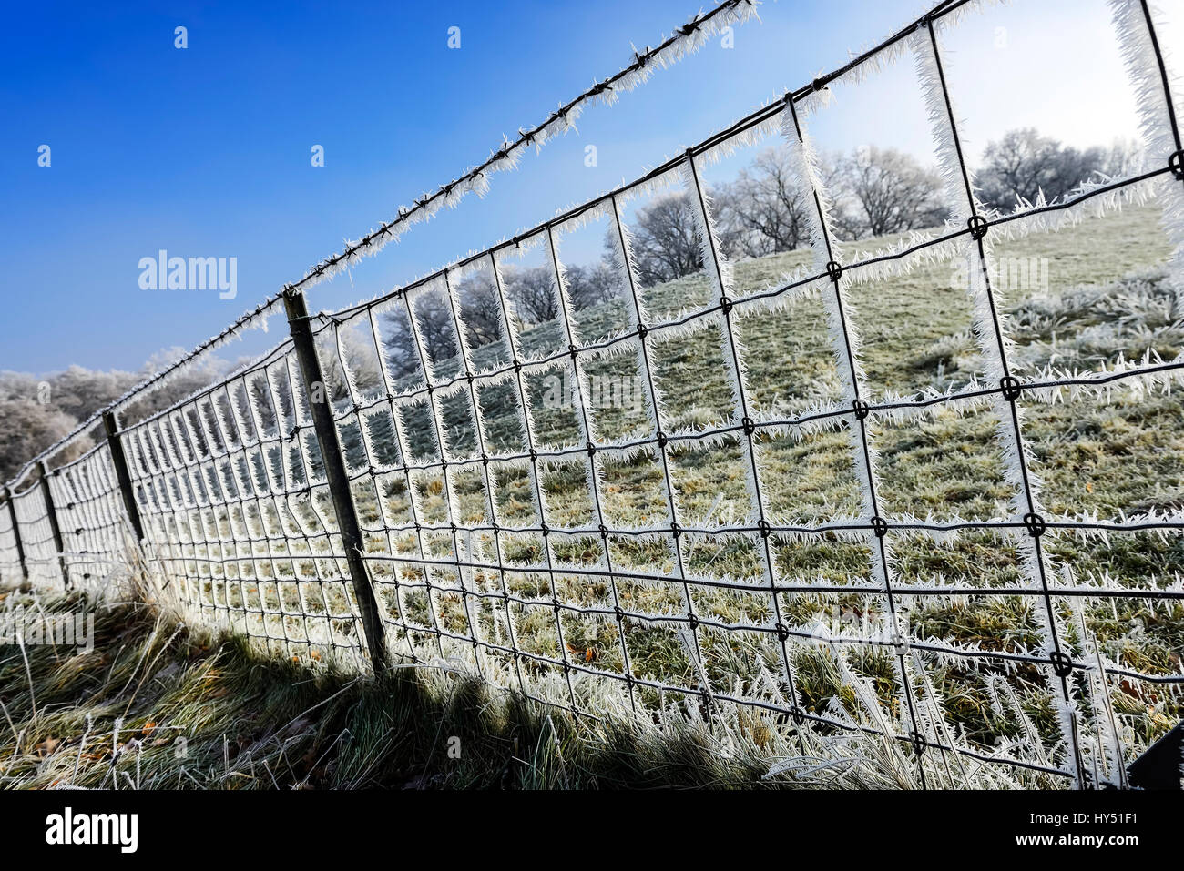 Fence with hoarfrost in winter, Zaun mit Raureif im Winter Stock Photo