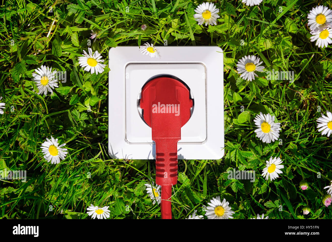 Outlet with red plug on lawn, ecological stream and stream costs, Steckdose mit rotem Stecker auf Rasen, oekostrom und Stromkosten Stock Photo