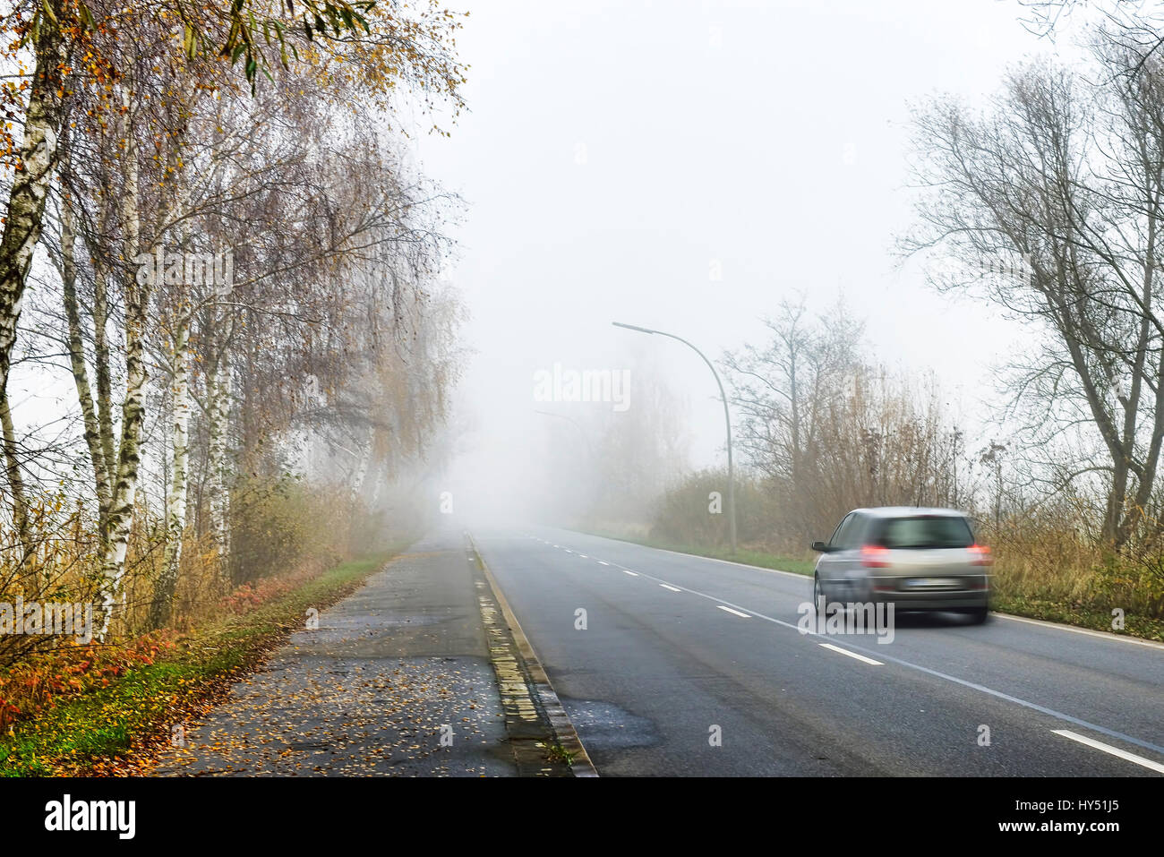 Car with fog in Kirchwerder, Hamburg, Germany, Europe, Auto bei Nebel in Kirchwerder, Deutschland, Europa Stock Photo