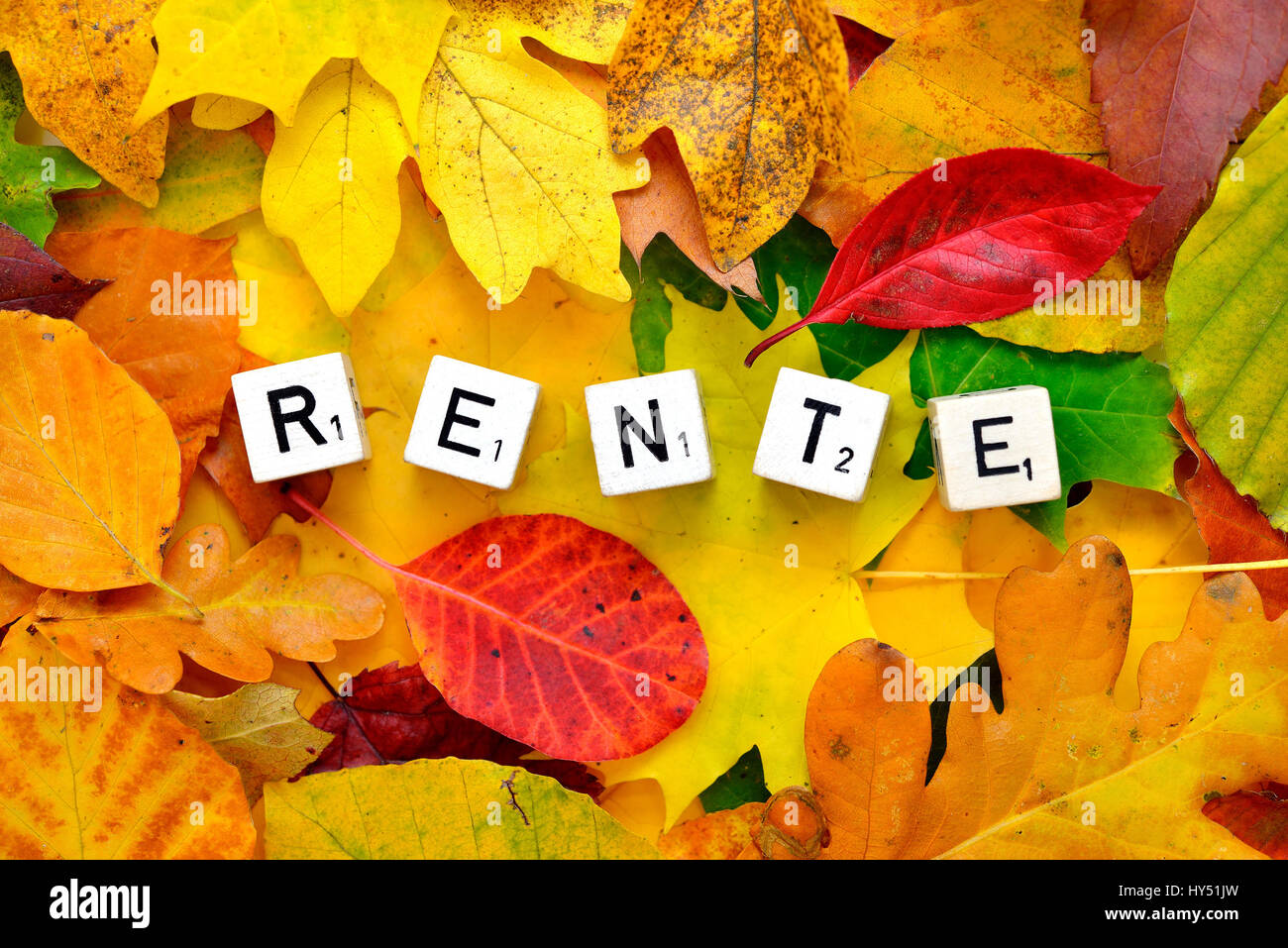 Letter cubes form the stroke pension on autumn foliage, Buchstabenwuerfel bilden den Schriftzug Rente auf Herbstlaub Stock Photo