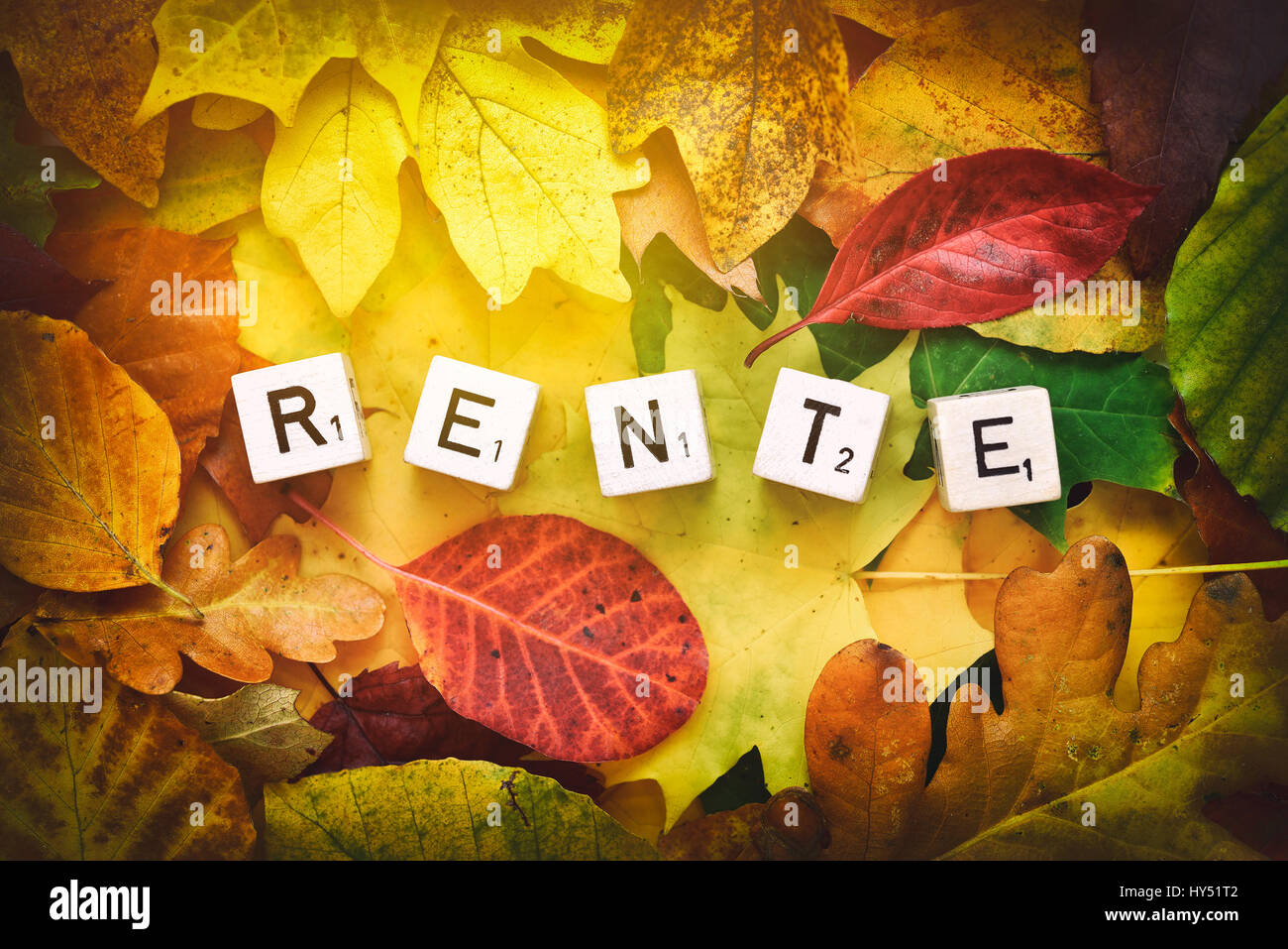 Letter cubes form the stroke pension on autumn foliage, Buchstabenwuerfel bilden den Schriftzug Rente auf Herbstlaub Stock Photo