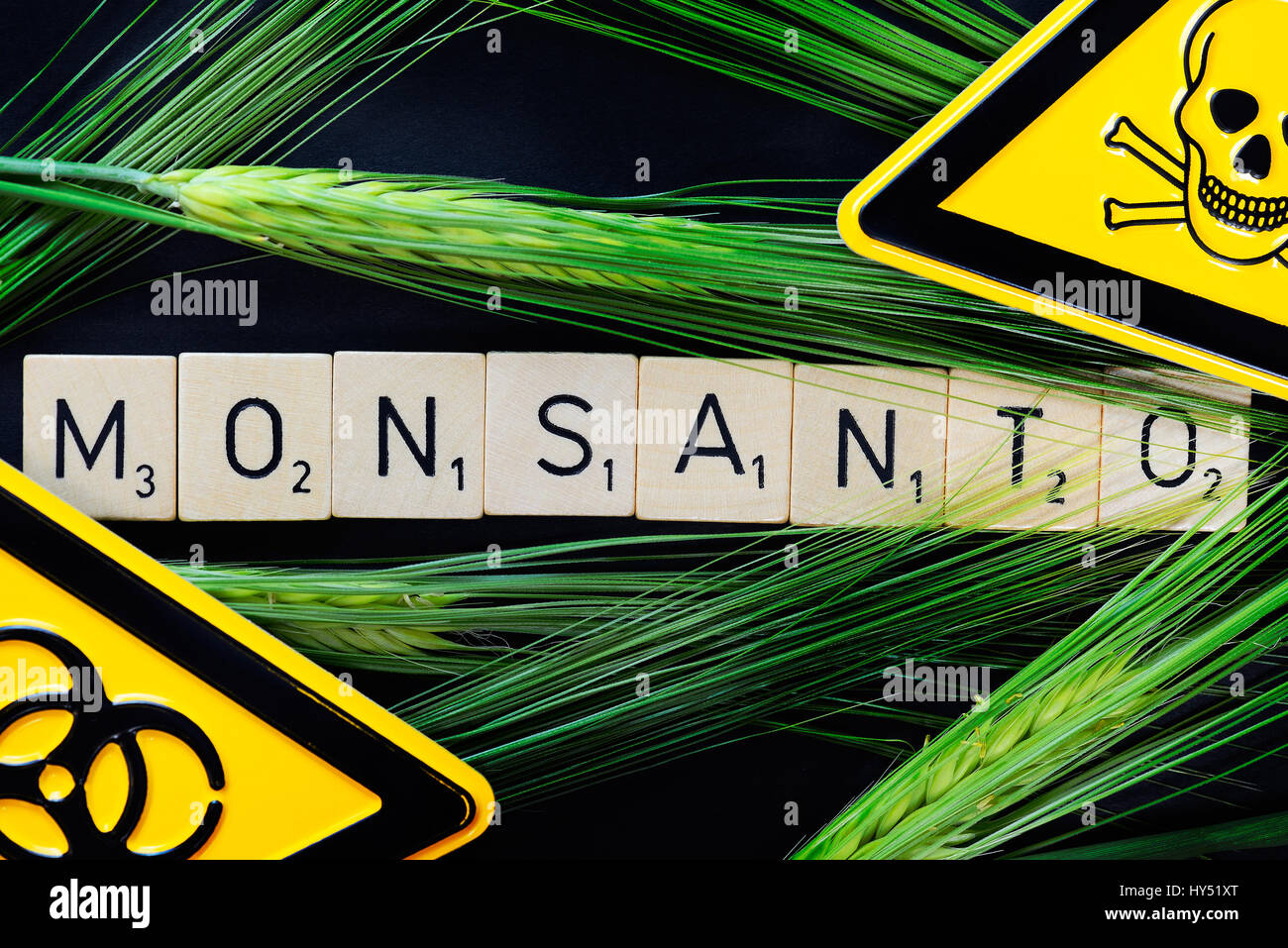 Monsanto stroke, grain ears and danger signs, Monsanto-Schriftzug, Getreideaehren und Gefaehrdungszeichen Stock Photo