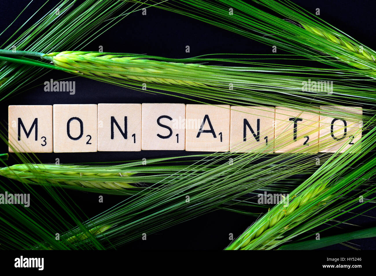 Monsanto stroke and grain ears, Monsanto-Schriftzug und Getreideaehren Stock Photo