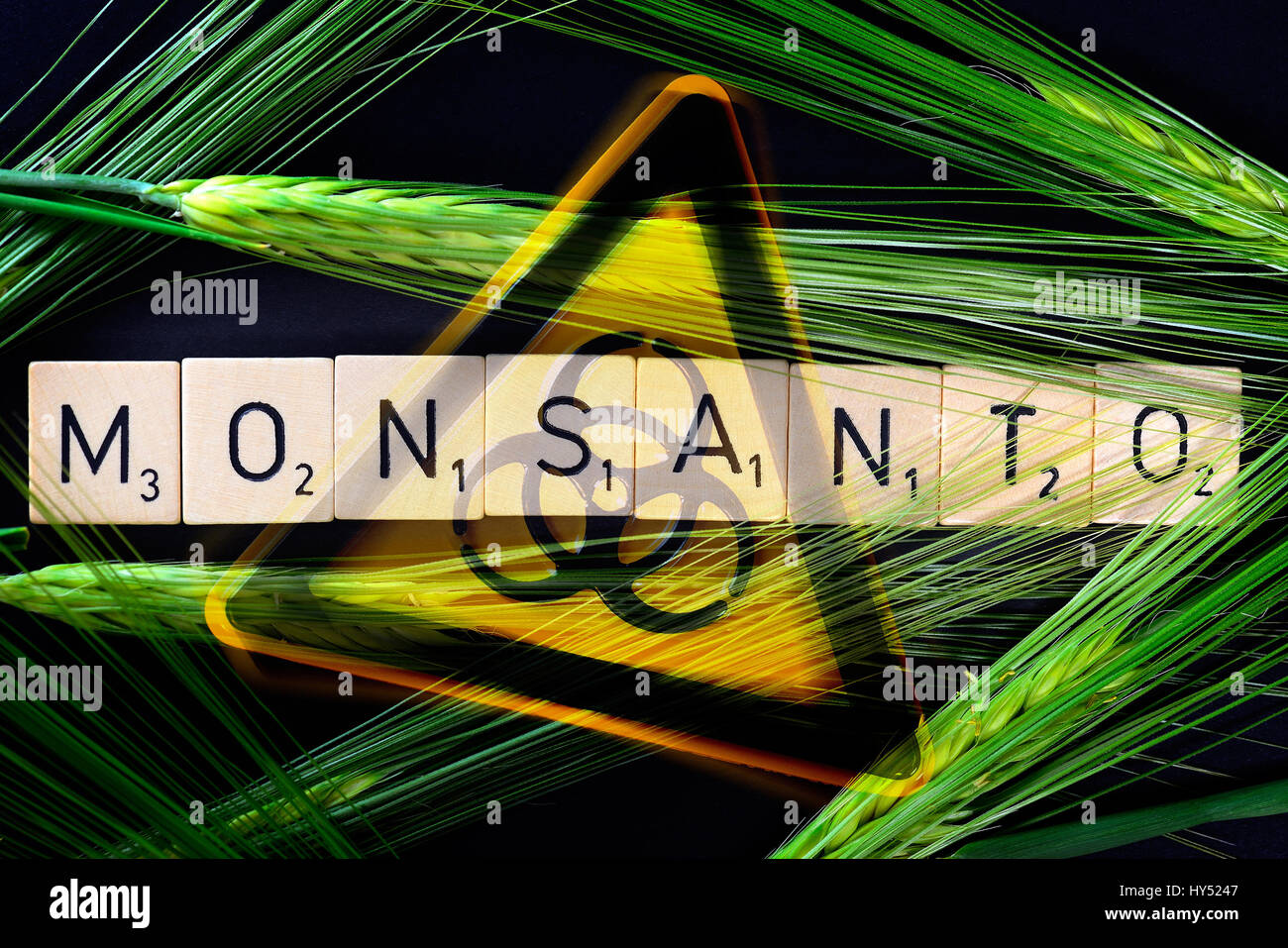 Monsanto stroke, grain ears and biology danger signs, Monsanto-Schriftzug, Getreideaehren und Biogefaehrdungszeichen Stock Photo