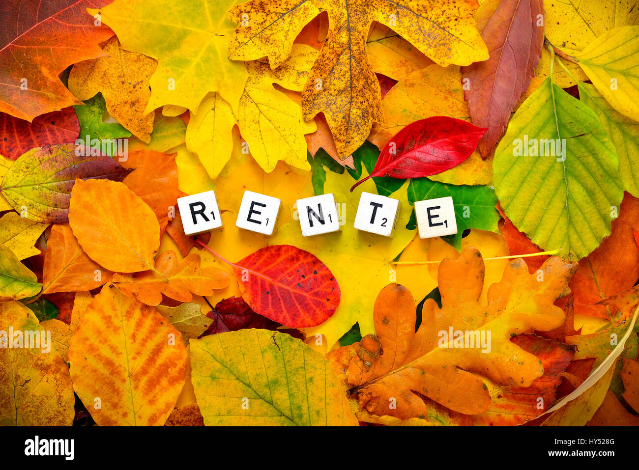 Letter cubes form the stroke pension on autumn foliage, Buchstabenwuerfel bilden den Schriftzug Rente auf Herbstlaub Stock Photo