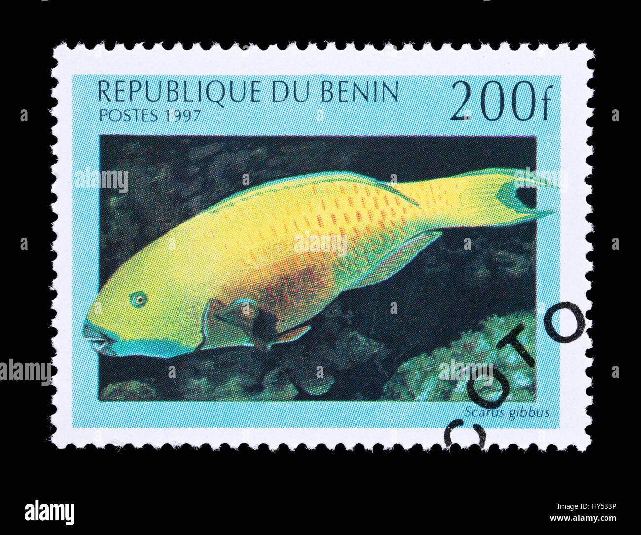 Postage stamp from Benin depicting a Heavybeak parrotfish (Scarus gibbus) Stock Photo