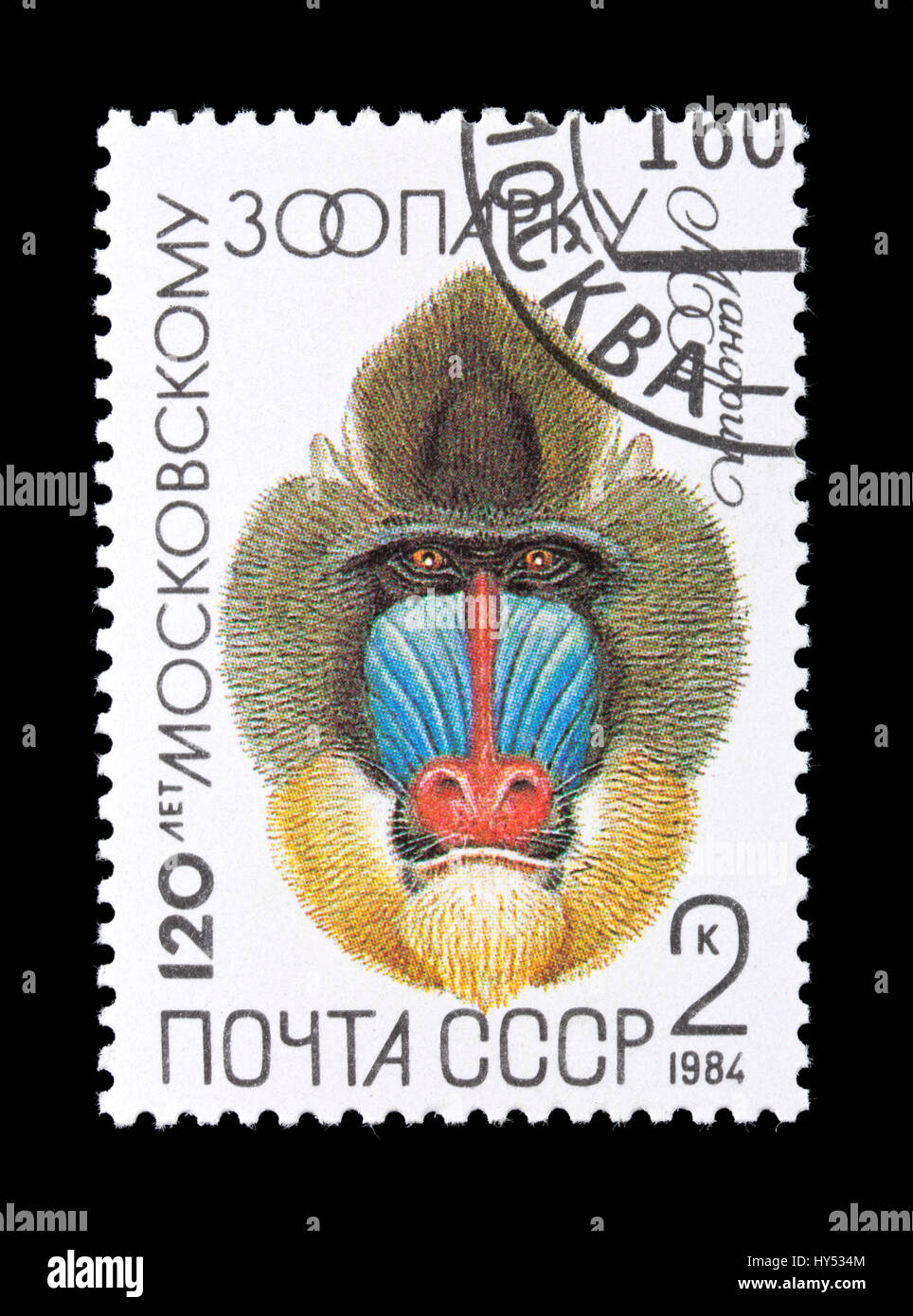 Postage stamp from the Soviet Union depicting a mandrill (Mandrillus sphinx) Stock Photo