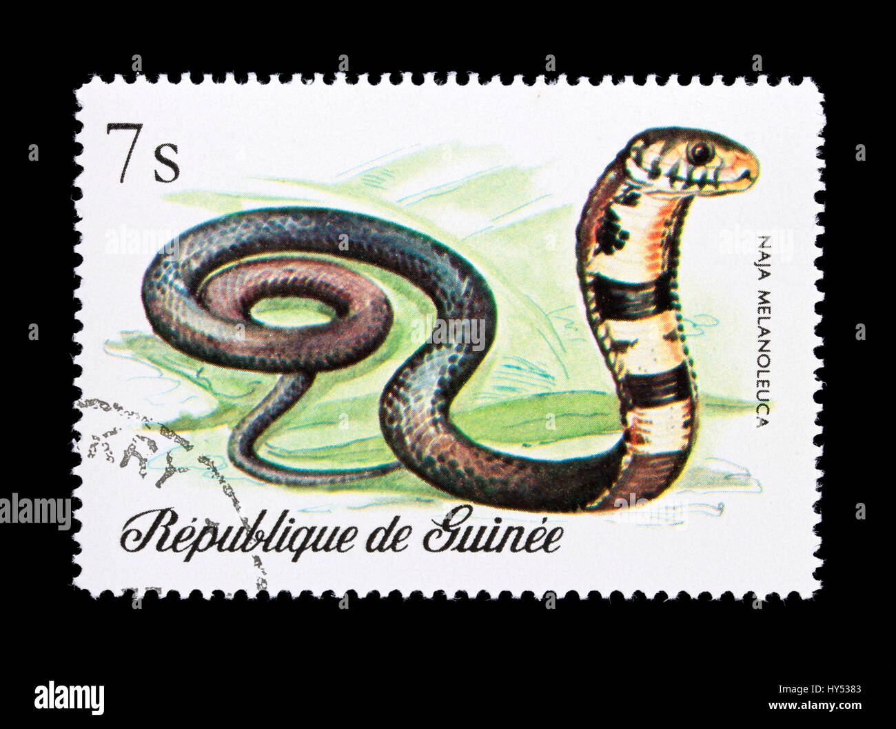 Postage stamp from Guinea depicting a  forest cobra  (Naja melanoleuca) Stock Photo