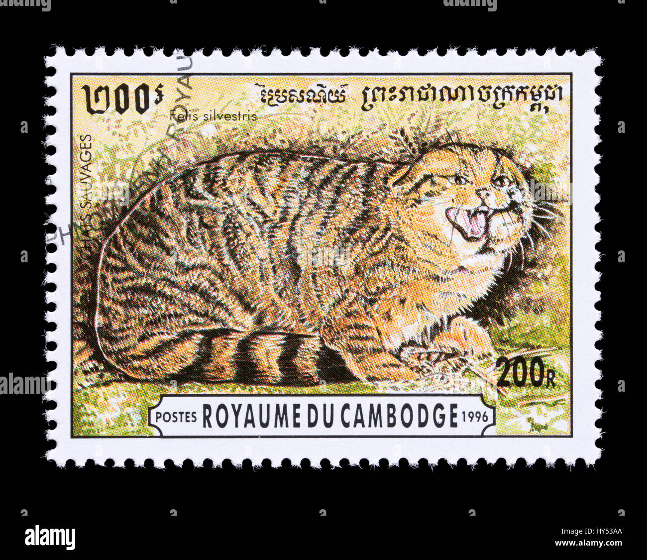 Postage stamp from Cambodia depicting a African wildcat (Felis silvestris), Stock Photo