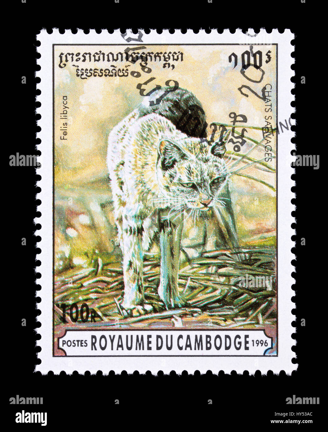 Postage stamp from Cambodia depicting a African wildcat (Felis silvestris lybica), Stock Photo