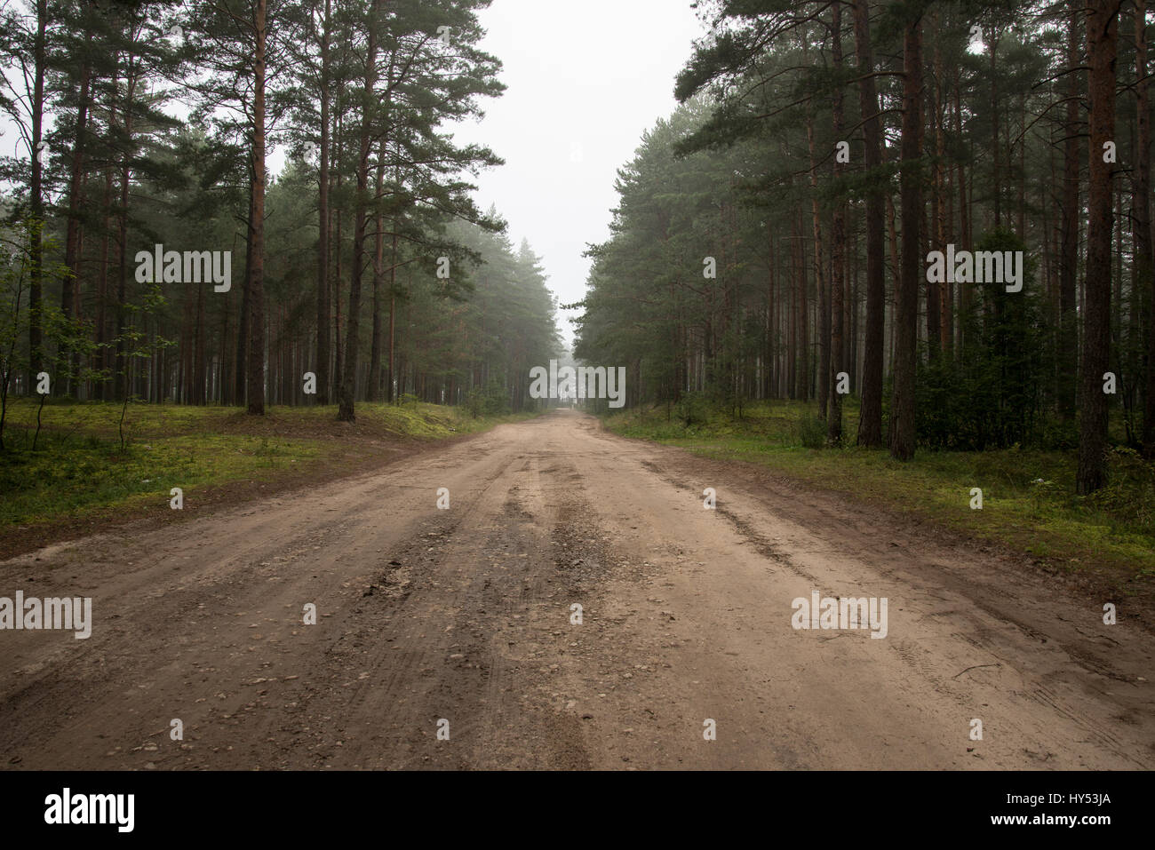 misty country road in the early morning Stock Photo - Alamy
