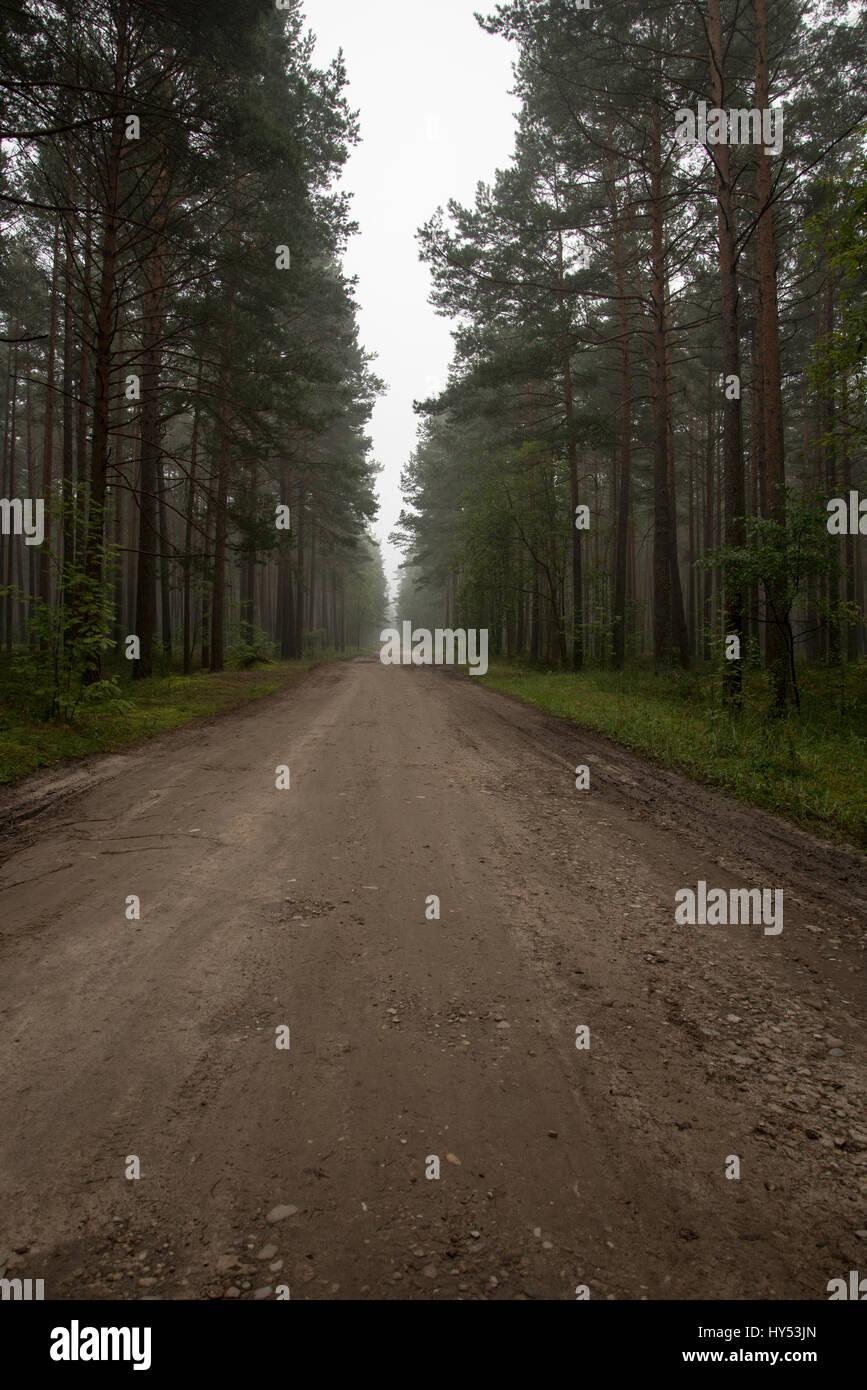 misty country road in the early morning Stock Photo - Alamy