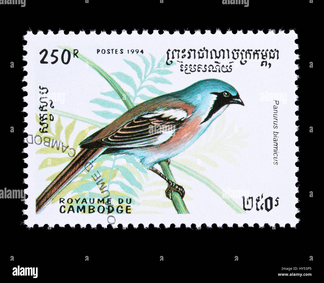 Postage stamp from Cambodia depicting a bearded reedling (Panurus biarmicus) Stock Photo