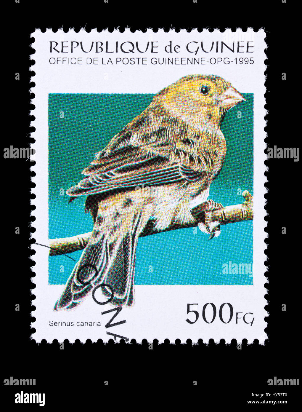 Postage stamp from Guinea depicting  Atlantic canary (Serinus canaria) Stock Photo