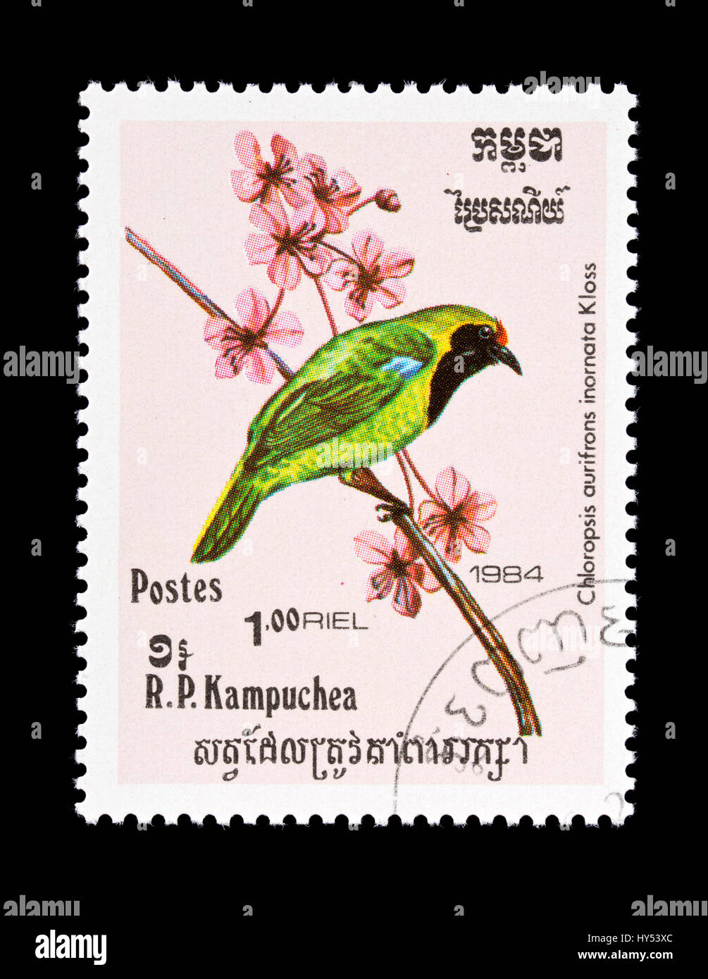 Postage stamp from Cambodia (Kampuchea) depicting a golden-fronted leafbird (Chloropsis aurifrons) Stock Photo