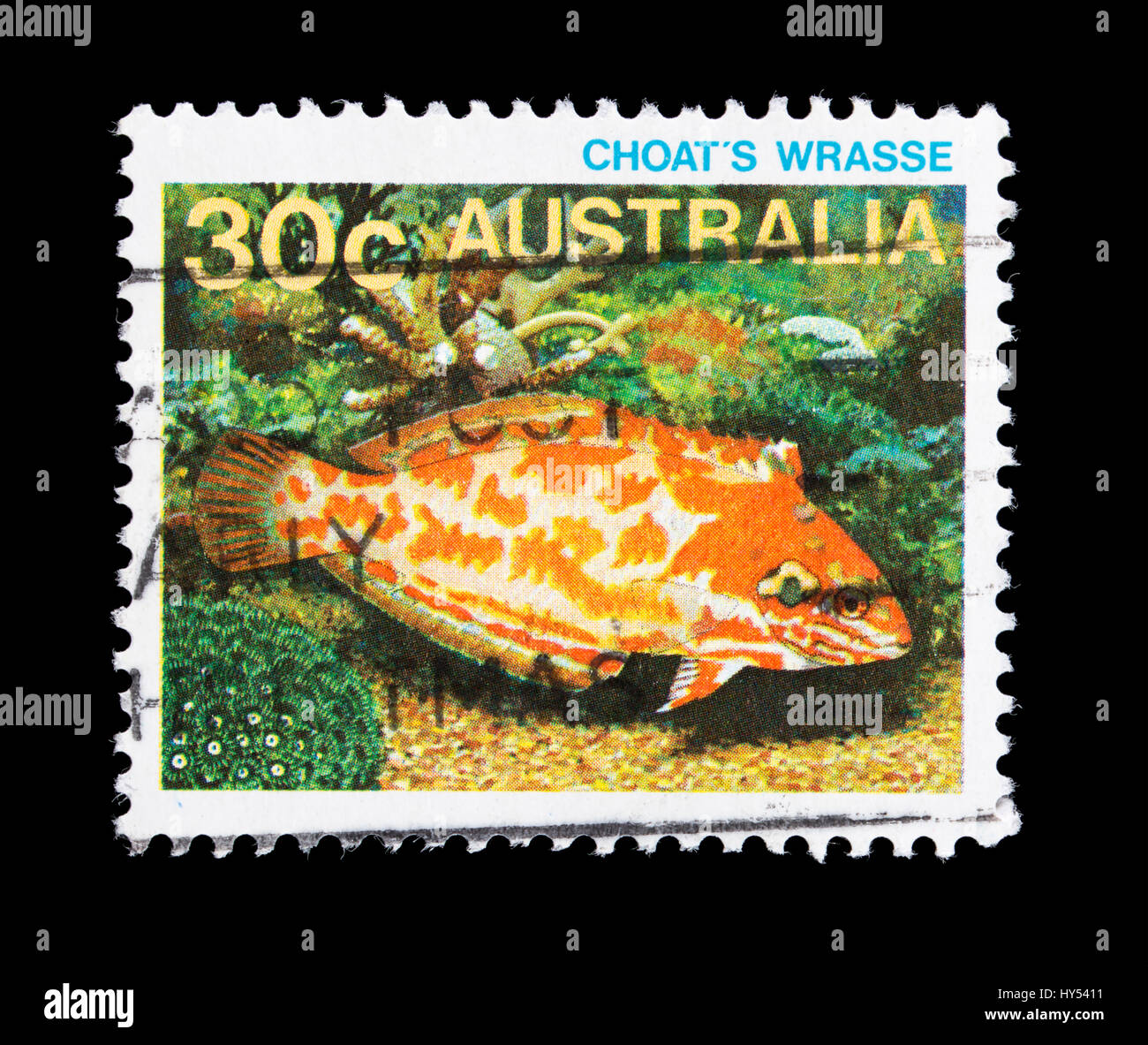 Postage stamp from Australia depicting a choat's wrasse (Macropharyngodon choati) Stock Photo