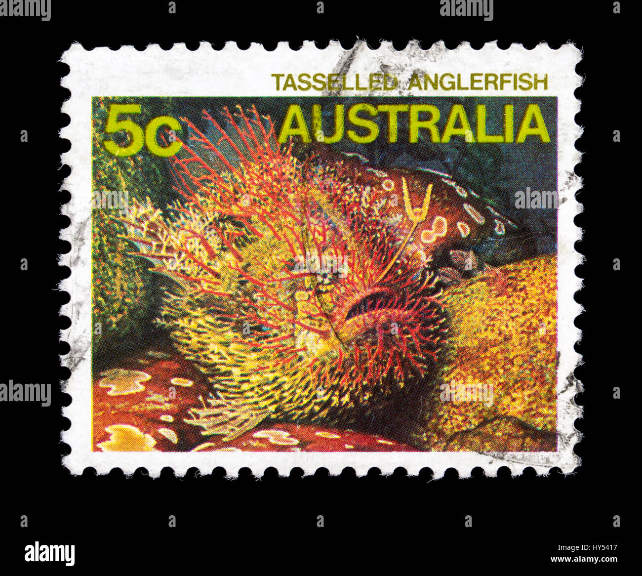 Postage stamp from Australia depicting a tasseled anglerfish (Rhycherus filamentosus) Stock Photo