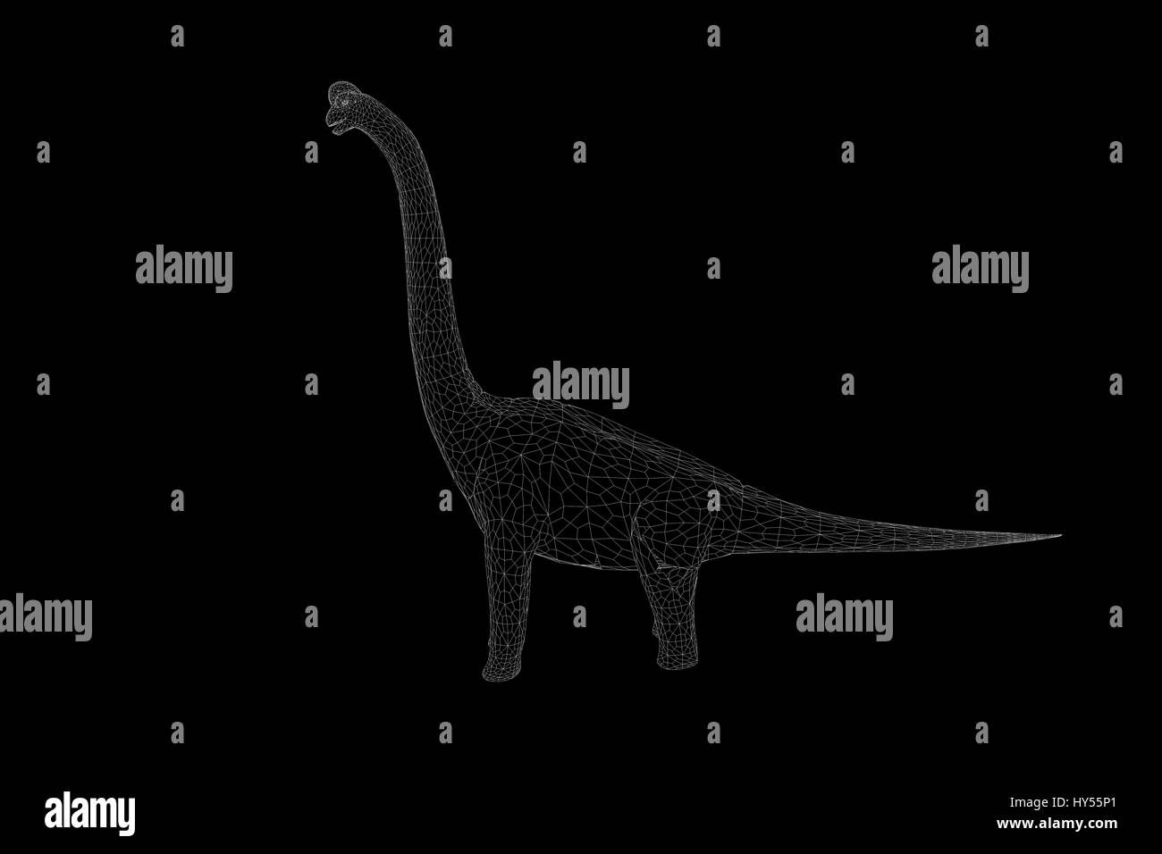 Brachiosaurus Black And White Stock Photos & Images - Alamy