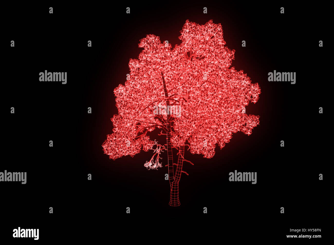 Tree Plant in Wireframe Hologram Style. Nice 3D Rendering Stock Photo ...